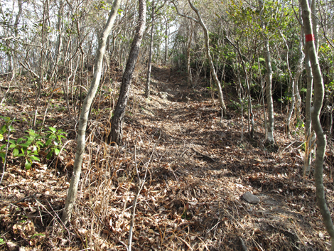 20140103hike (241)